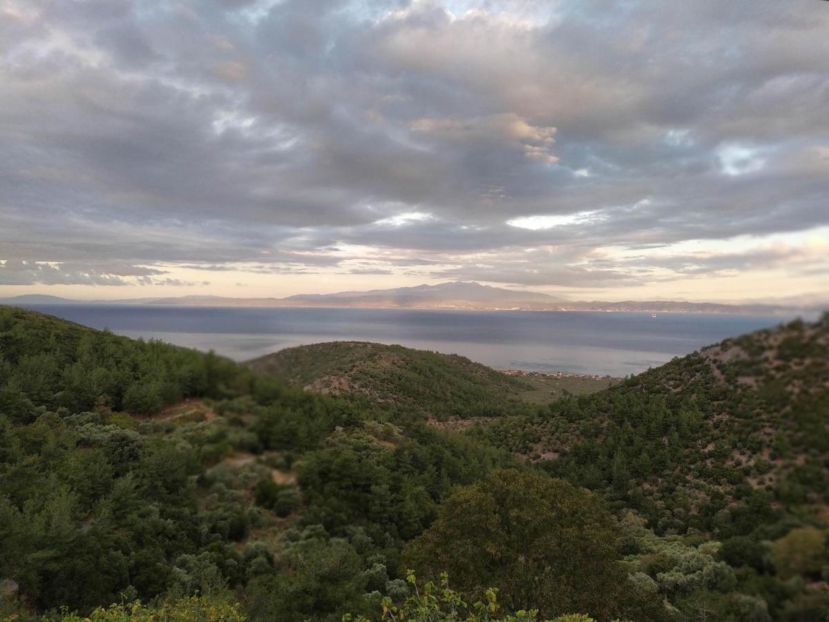 דירות Sotir Eden View מראה חיצוני תמונה