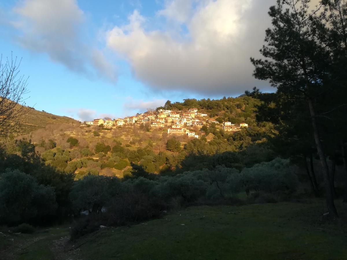 דירות Sotir Eden View מראה חיצוני תמונה