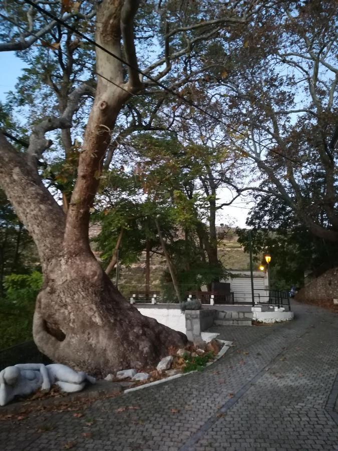 דירות Sotir Eden View מראה חיצוני תמונה